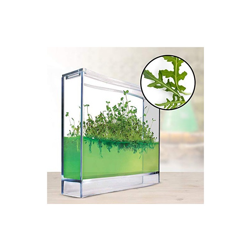 Monsterzeug Gel Greenhouse for Spices - Mini Plantarium for Herbs