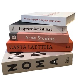 Brightrust Interior Book, Fake Western Style, Imitation, Figurine, Display, Photography, Object, Lightweight (B Set)