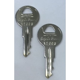 SafeCo Brands 17003 Fire Lite Replacement Fire Alarm Keys 2- Keys (17003 Fire Lite)