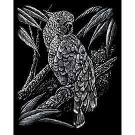 Royal & Langnickel Cockatoo Scratching Picture, Silver, Scratch Pictures for Children and Adults, with Scratch Pen and Template