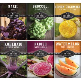 Rare Exotic Vegetable & Fruit Seeds for Planting – 6 Variety Heirloom Pack with Romanesco, Lemon Cucumber, Watermelon Radish & More by Survival Garden Seeds
