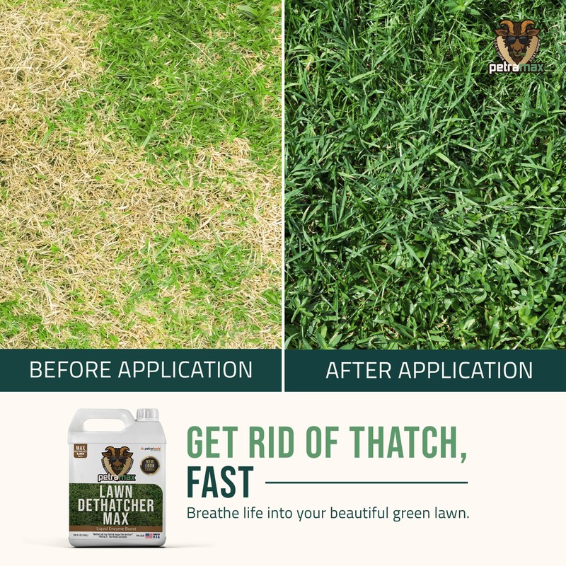 PetraTools Liquid Dethatcher, Lawn Dethatcher & Aerator, Grass Dethatcher &
