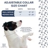 Hamilton Double Thick Nylon Buckle Dog Collar for Medium &