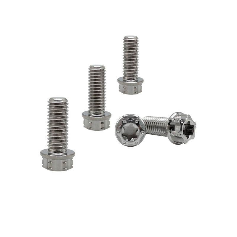 RISON-Titanium Titanium Screws M6 x 1.0 x 16 mm, Pack