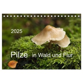 Mushrooms in Forest and Hallway (Desk Calendar 2025 DIN A5 Landscape), CALVENDO Monthly Calendar