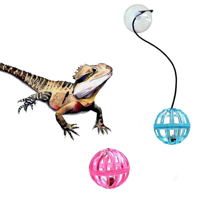 6 Pack Bearded Dragon Toy Bell Balls, Reptile Lizard Toy