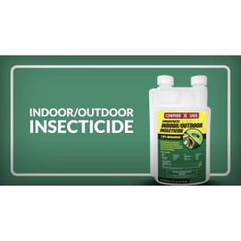 Compare-N-Save Concentrate Indoor and Outdoor Insect Control, 32-Ounce