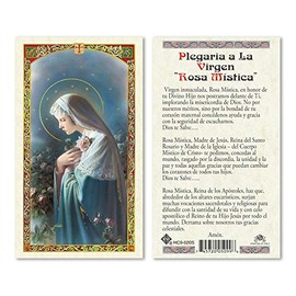 Hail Mary Gifts Prayer Cards Mystical Rose - ONE Little Rose  25/PKG