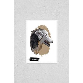 Silken windhound dog isolated digital art illustration. Hand drawn dog muzzle portrait, puppy cute pet. Dog breeds from United States. Silken Windhound American breed of sighthound, noted coursers