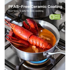 Nonstick Stainless Steel Saucepan with Lid – Small Pot for Sauces, Milk, and Boiling, Induction & Dishwasher Safe