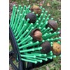 Stab-A-Nut Hickory Nut Picker Upper - Bag-A-Nut Harvester (A9001)