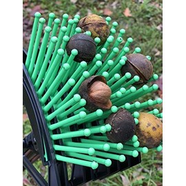 Stab-A-Nut Hickory Nut Picker Upper - Bag-A-Nut Harvester (A9001)