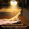 Dual Reptile Light Fixture with 100W Daytime Heat & UVB