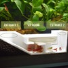 3DAquaticSolutions Aquarium Shrimp Party Tunnel, Includes Exquisite VIP Room and