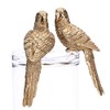 Shophaus24 Decorative Parrot Figures Gold Edge Seater Height 20.5 cm