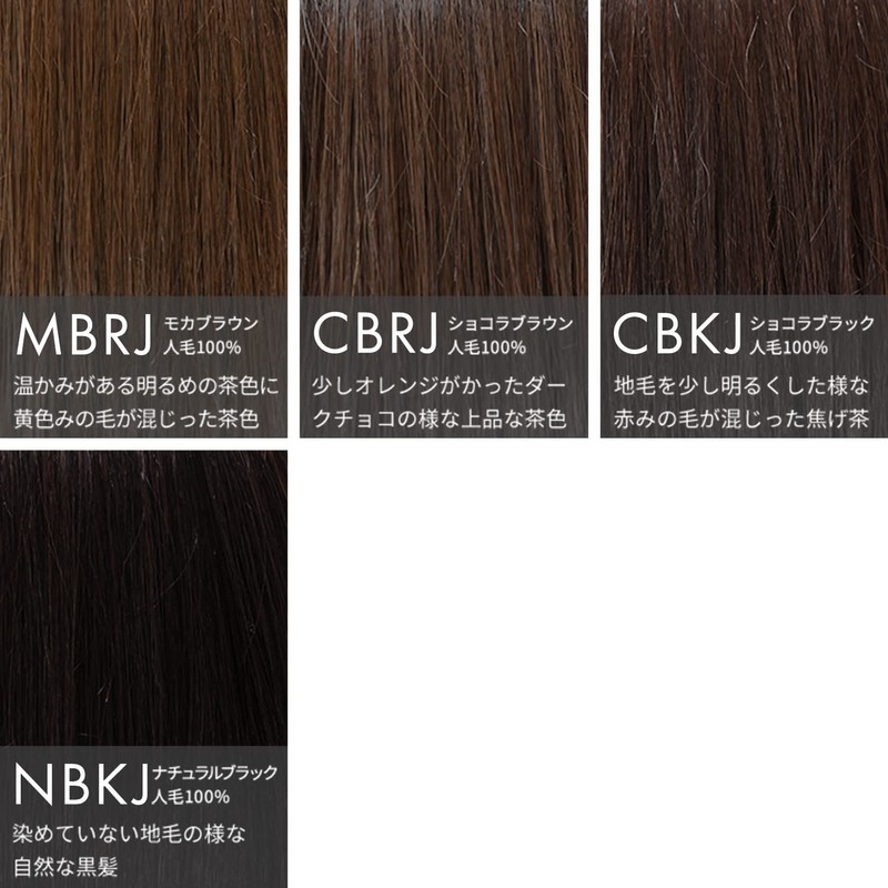 AQUADOLL pp003NBKJ Wig, Bangs Wig, Side Included, Sink Bangs, 100%
