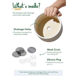 LE TAUCI Succulent Pots, 6.5+8 Inch Ceramic Indoor Plant Pot with Drainage Hole, Shallow Round Succulent Planters, Set of 2, Matte White