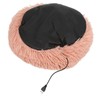 Electric Pet Heating Bed Adjustable Temperature Waterproof USB Heating Cat