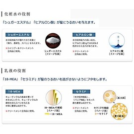 Tama Squirrel rakurea O C Shampoo 200ml