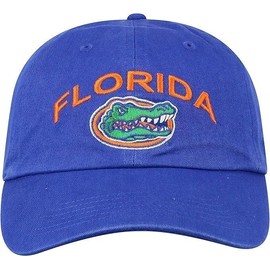 Collegiate Primary Color Team Arch Adjustable Hats (US, Alpha, One Size, Florida)