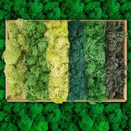 XIEJ Iceland Moss - Moss in 6 Different Colours, 240 g Moss Decoration, Real Preserved Durable Natural Moss for Moss Painting, Crafts/Decoration and Model Making, Easter Decoration