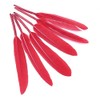 Charming Beads Red Dyed Goose Feathers 10-17cm Pack Of 30