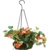Pound Veg Jute Hanging Basket Flat Liner - Green (14-Inch)