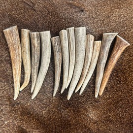 WhiteTail Naturals New 12 Pack - Med/Large (3" to 4") Polished Deer Antler Crafting Tips - Points for Jewelry Making, Key Chains, Home Decor, Native Crafts & Pendants