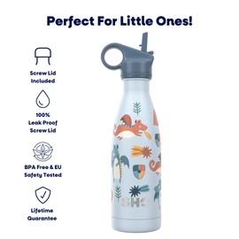 SHO Kids Bottle - Original 2.0 - Ultimate Insulated, Double Walled Stainless Steel Vacuum Flask & Water Bottle - 12 Hours Hot & 24 Hours Cold - 260ml - BPA Free (375ml, Dragons with Straw Lid)