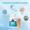 Whiskopia Probiotics for Dogs, Dog Probiotics with Digestive Enzymes with