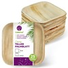 GoBeTree 25 Palm Leaf Plates 15 x 15 cm, Palm