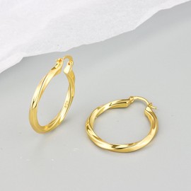 14K Gold Plated Hypoallergenic Thick Hoop Earrings Gold Hoop Earrings for Women