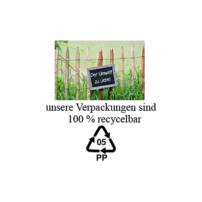 Richard Sellmer Verlag Advent Calendar Santa is coming