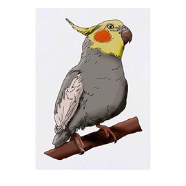 'Cockatiel' Temporary Tattoo - Water Resistant, Skin-Safe, Non-Toxic Transfer (TO00036742)