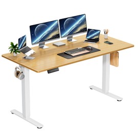 Zibbizo Electric Height Adjustable Standing Desk, 48x24 Inches, Ergonomic Sit-to-Stand Rising Computer Table for Home Office
