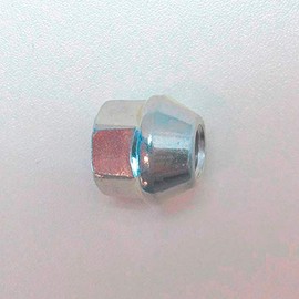 Universal Fixing Nut M10 x 1.25 x 19 mm | H & R (102501)