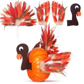 WinnerWhy 4 Pcs Thanksgiving Turkey Pumpkin Making Kit Feather Turkey Decoration DIY Making Craft Kit, Fall Harvest Decoration for Pumpkin Poke in Thanksgiving Home Outdoor Indoor