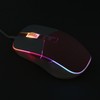 Wired Mouse Ergonomic Streamlined Cool RGB Optical Sensor Gaming Mechanical