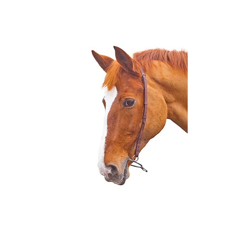 Shires Blenheim Chifney Headstrap-Havana Full