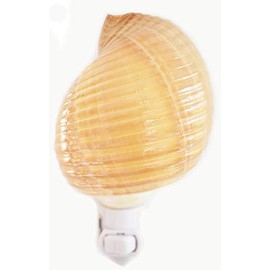 Seashell Night Light Real Tonna Cepa Shell Beach Decor w. on/Off Switch Beautiful Coastal Cottage