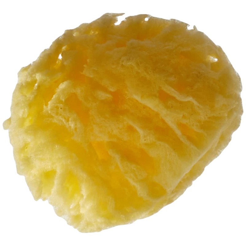 Poupy 246.6 Sponge Natural Sea