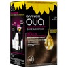 Garnier Olia 6.0 Light Brown Permanent Hair Colour without Ammonia,