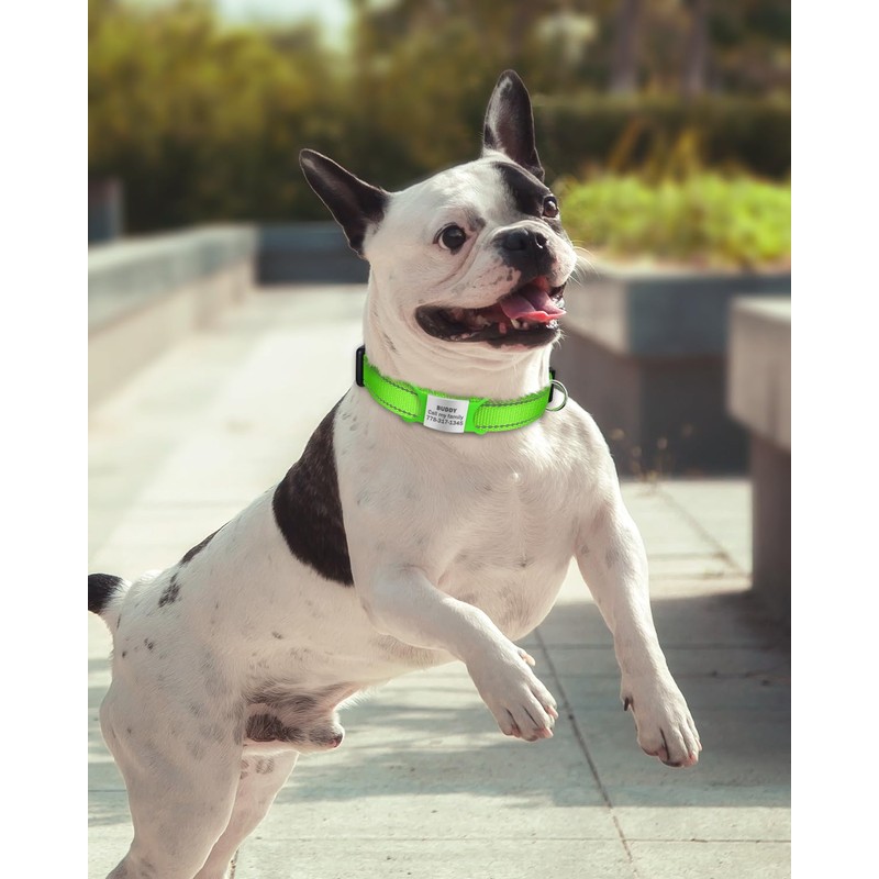 TagME Small Dog Collars, Adjustable Reflective Nylon Pet Collar with