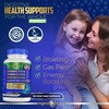 Legend Nutra Probiotics Prebiotics Postbiotics Digestive Enzymes 4 in 1