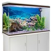 AWERT Aquarium Background Coral Reef Tropical Fish Undersea Fish Tank