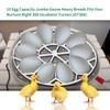 Vanshly,10 Egg Capacity Jumbo Goose Heavy Breeds Tray Fits Nurture