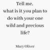 Mary Oliver- tell me Bumper Sticker Vinyl Decal 5 inches