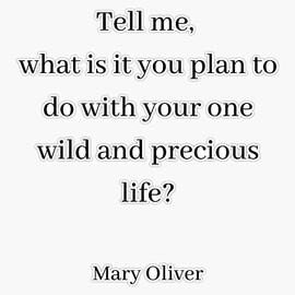 Mary Oliver- tell me Bumper Sticker Vinyl Decal 5 inches