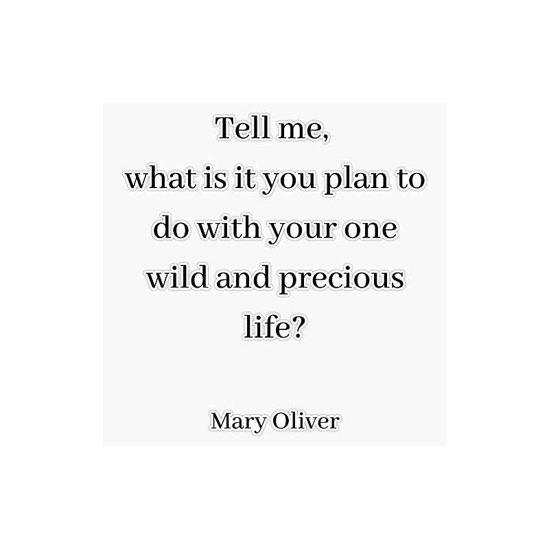 Mary Oliver- tell me Bumper Sticker Vinyl Decal 5 inches