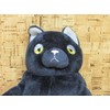 Shinada Global MONE-0168B Mochi Cat Plush Toy, Black, Size S